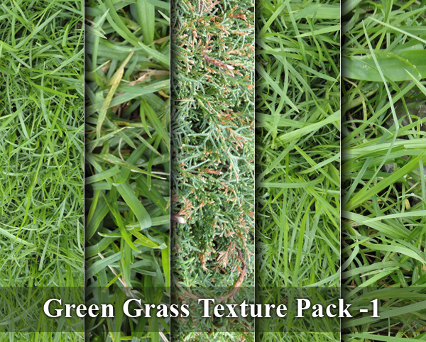 Green Grass Texture Pack-1