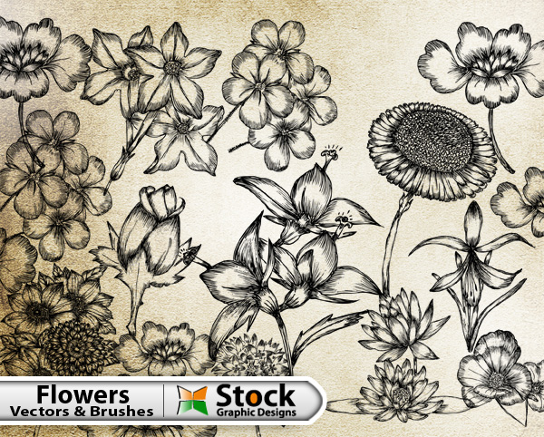 Hand Drawn Flowers Free Vector & Brush Pack