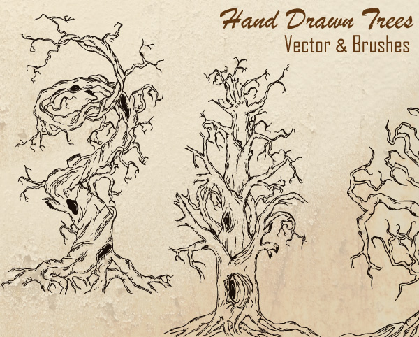 Hand Drawn Tree Vector Illustration