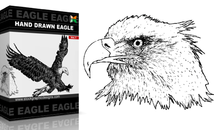 Hand Drawn Eagle