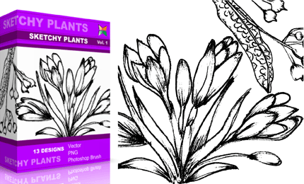 Vol.1 : Sketchy Plants