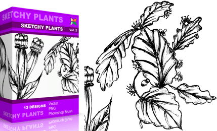 Vol.2 : Sketchy Plants