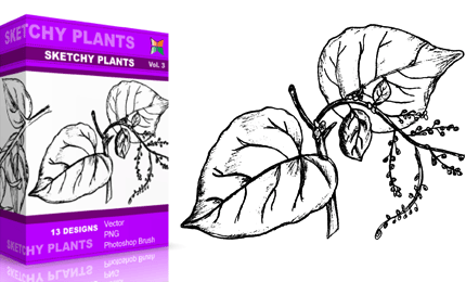 Vol.3 : Sketchy Plants